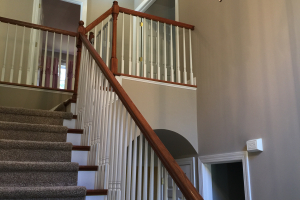 IMG_2387